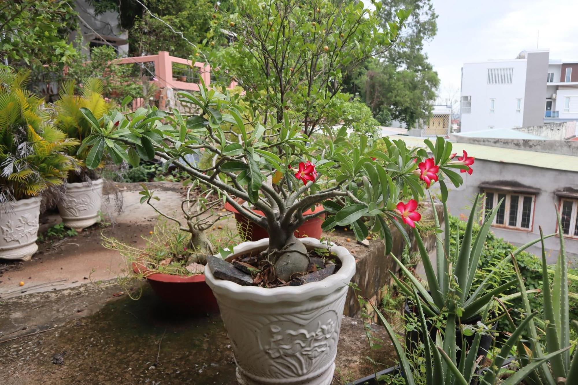 卡萨贝拉酒店公寓 头顿 外观 照片